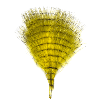 MFC Fine-Barred Marabou