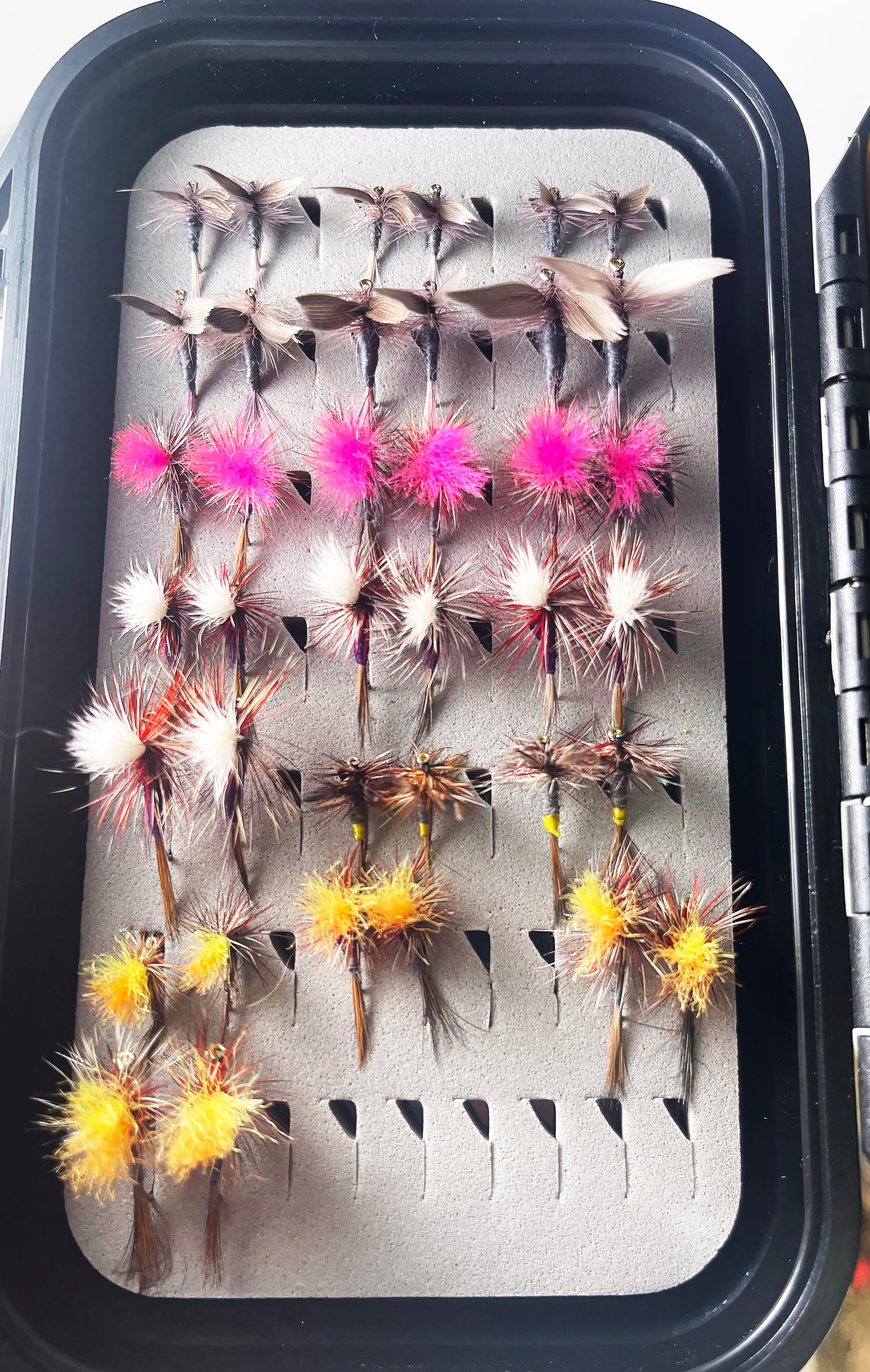 Dry flies face