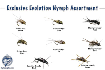 Tungsten Nymph Head Evolution Assortment