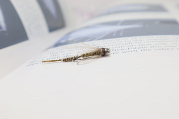 Top Trout Flies - Articulated!!