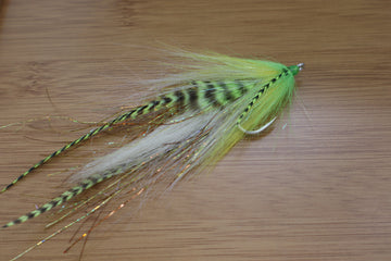 MO's Congo Attack Streamer - Great for Striped Bass, Blue Fish , Peacock Bass and Smallmouth Bass - Top Streamer - Fly Gamakatsu 4/0 sharp hook