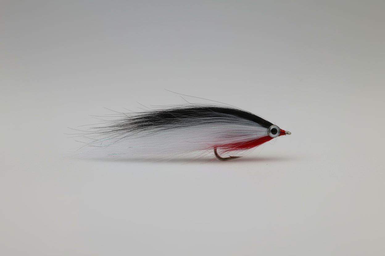 Fishing fly with white body and red section on a dark brown background