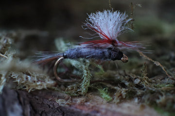 Parachute Adams- Dry Fly