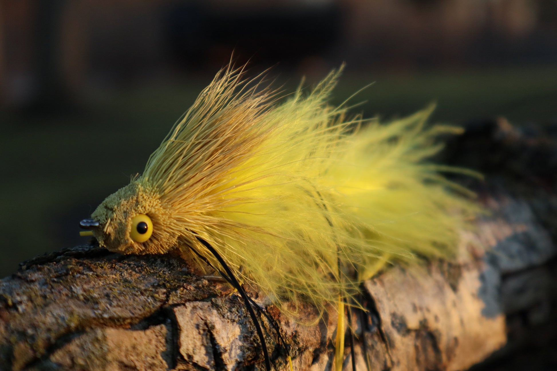 Sex Dungeon yellow close up