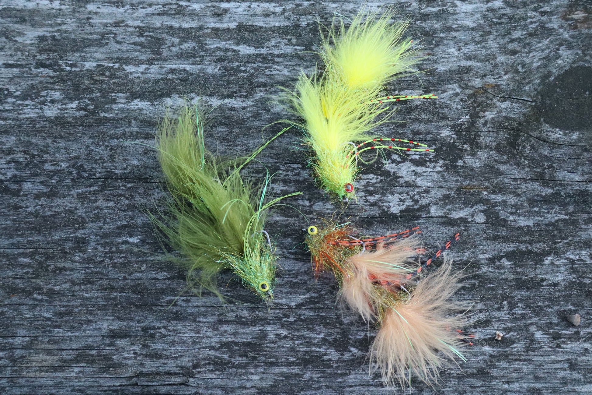 All variations in colors of the  circus peanut