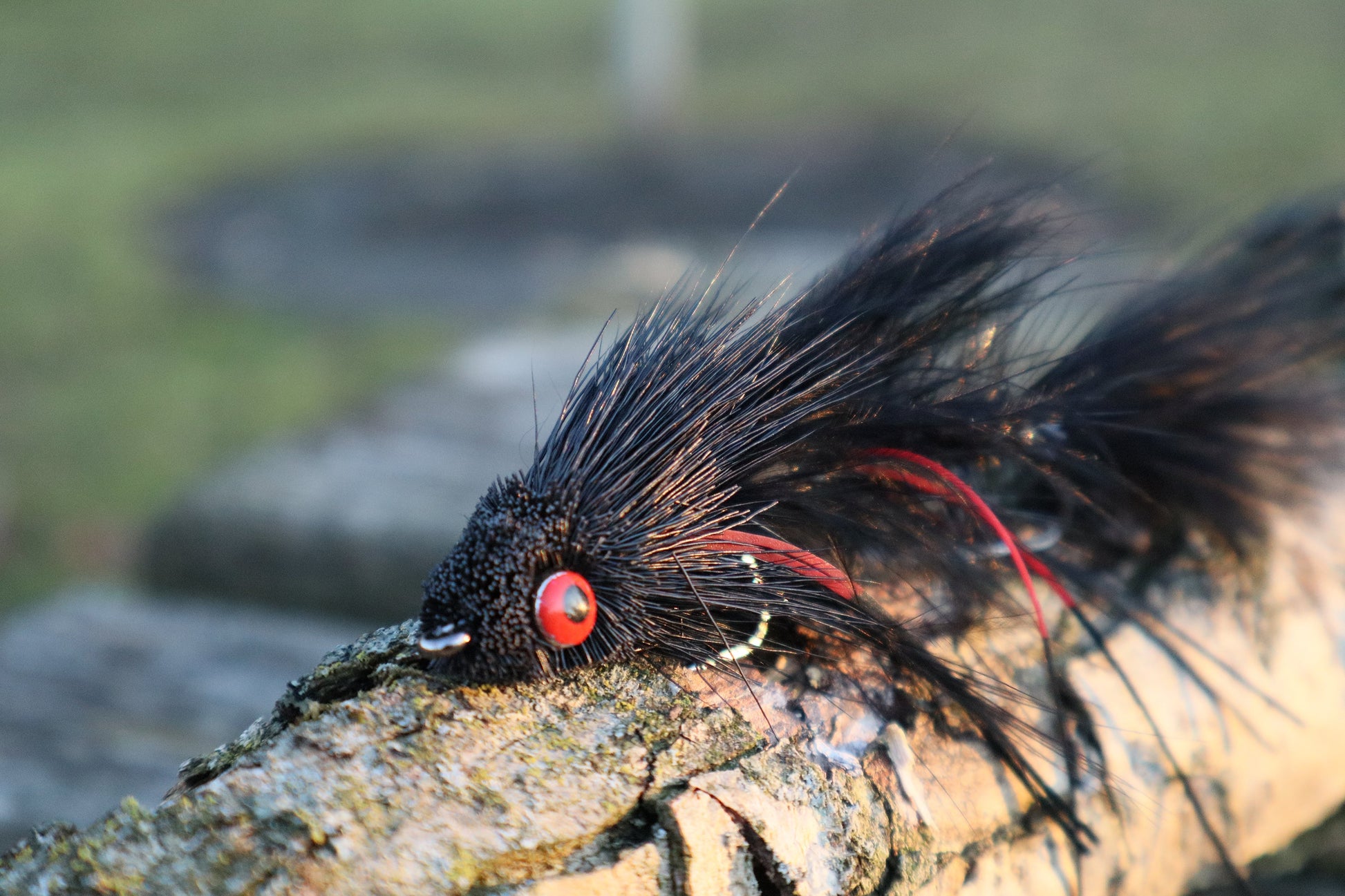 Sex Dungeon Balck close up