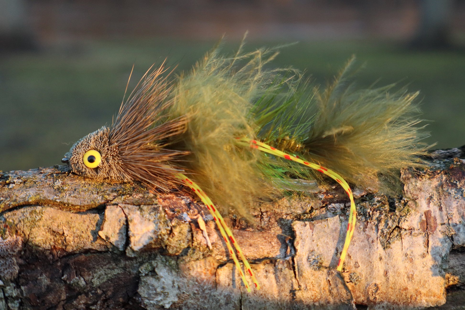 Sex Dungeon Brown/Olive