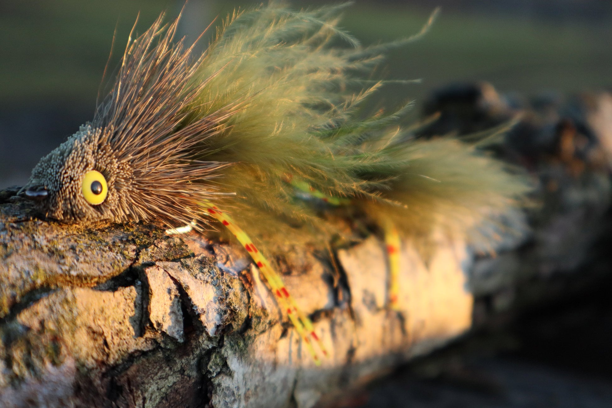 Sex Dungeon brown /yellow close up