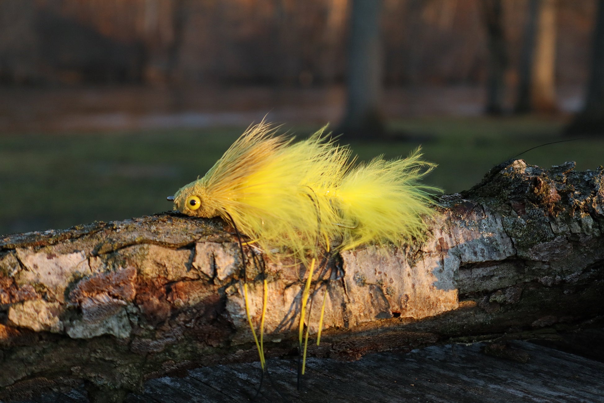 sex dungeon yellow different view