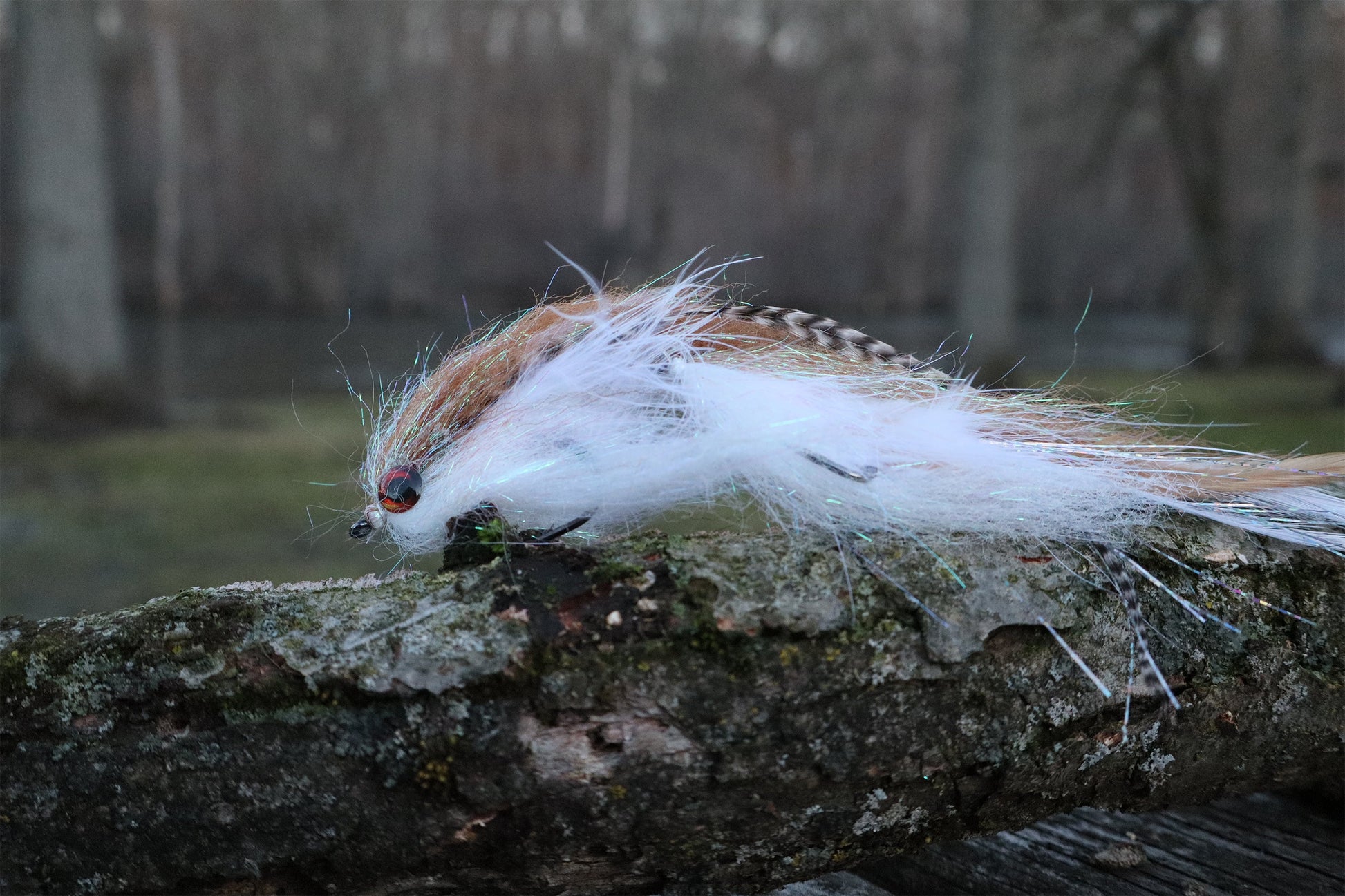 Brown white Charm Drifter