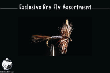 Top Trout Dry Fly Assortment - Top Dry flies for Trout - Best Flies for Trout - 72 Flies - 6 patterns - 3 hook sizes - Essential for each Angler