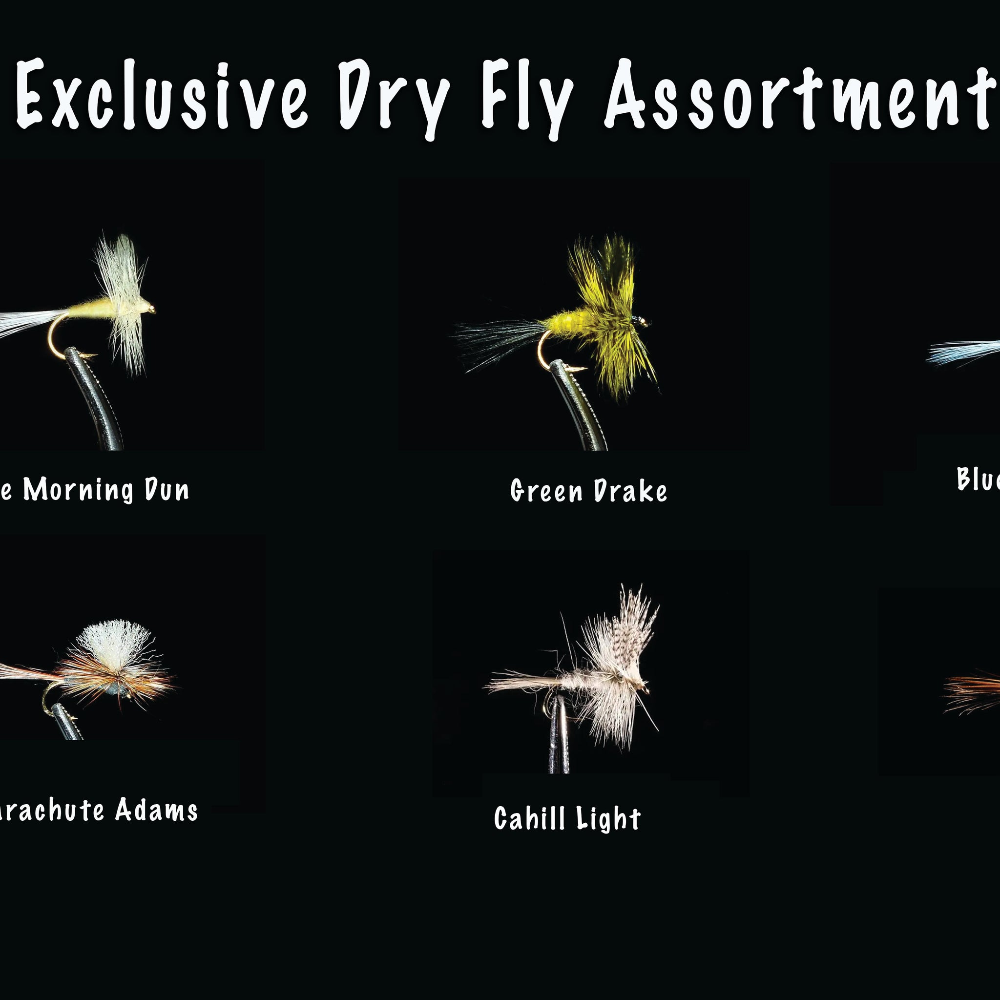 Top Trout Dry Fly Assortment - Top Dry flies for Trout - Best Flies for Trout - 72 Flies - 6 patterns - 3 hook sizes - Essential for each Angler