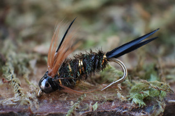 Impressionistic - Stonefly/Mayfly Nymph