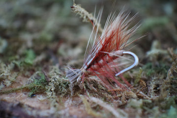 Elk Hair Caddis