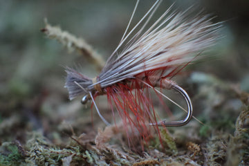 Elk Hair Caddis