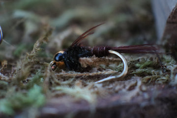 PH- Pheasant Tail