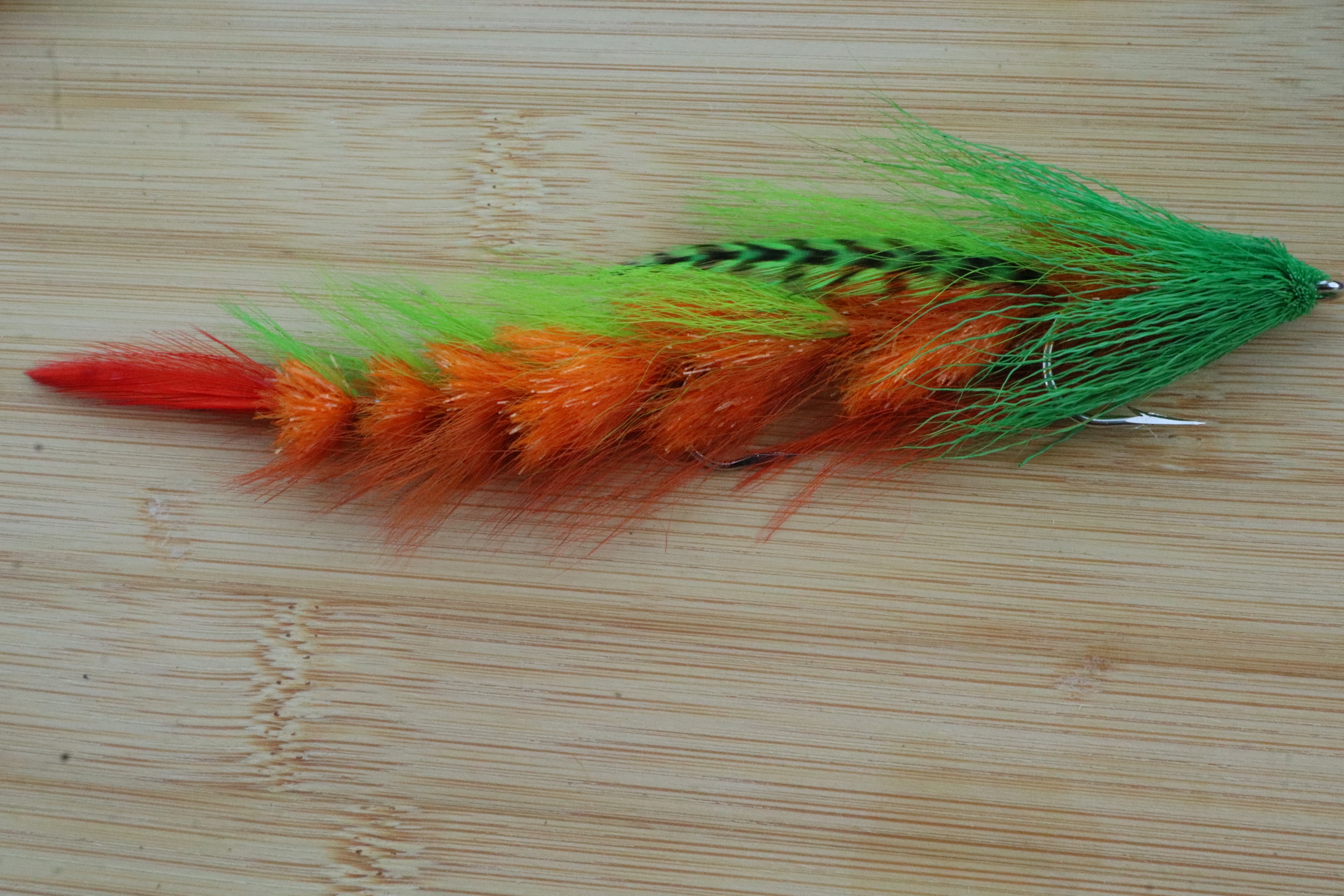 a green, orange and black feathered insect on a wooden surface