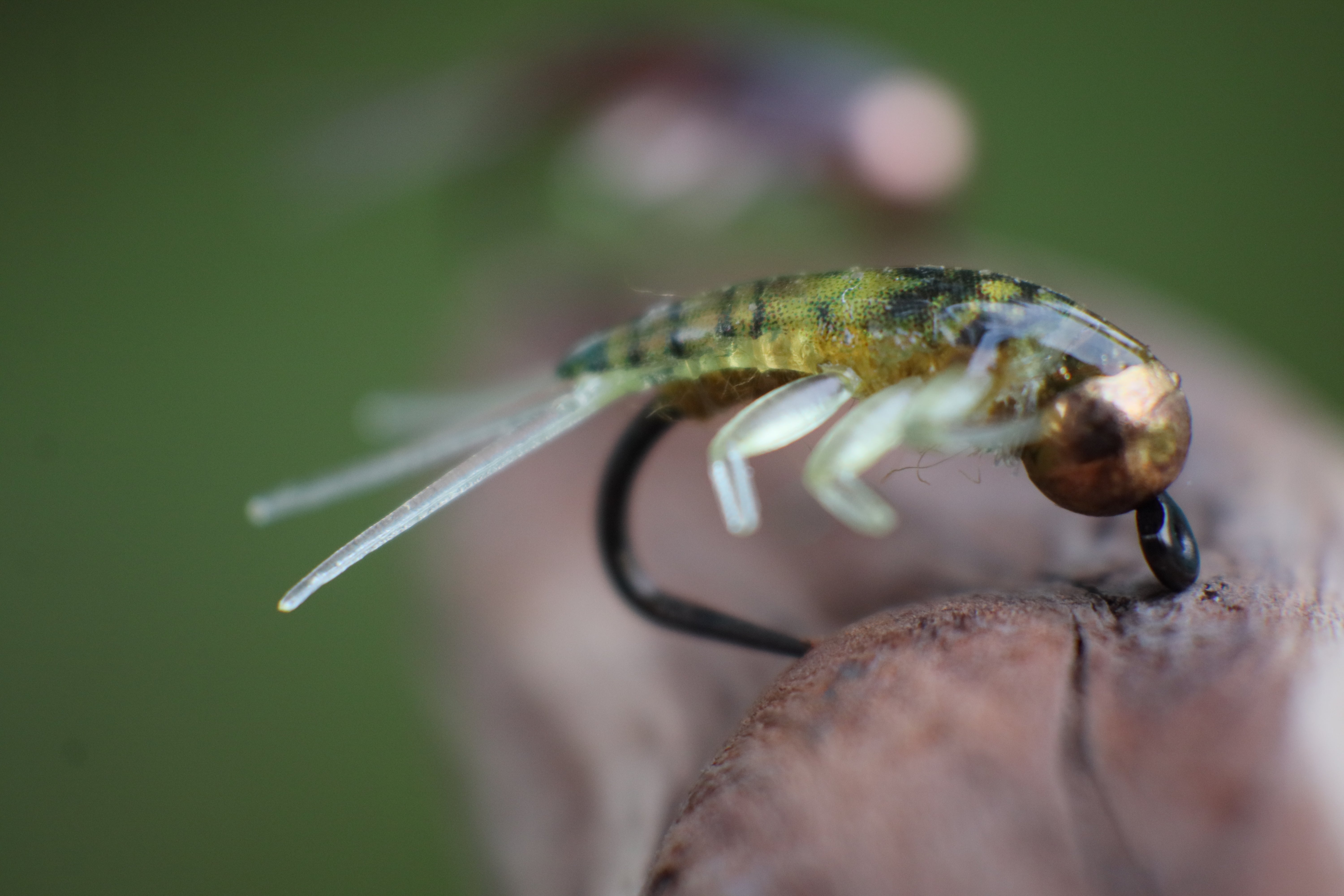 Caddis Mayfly Larva Nymphs Barbless - Trout Fly Fishing Flies