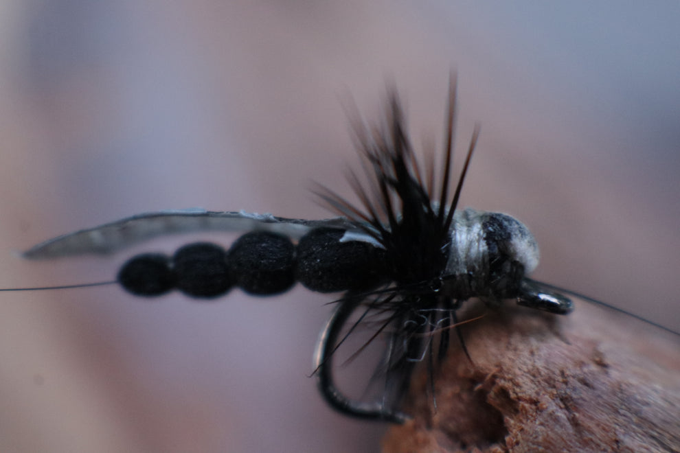 Realistic Adult Stone Fly - Large Dry Fly for Big Trout