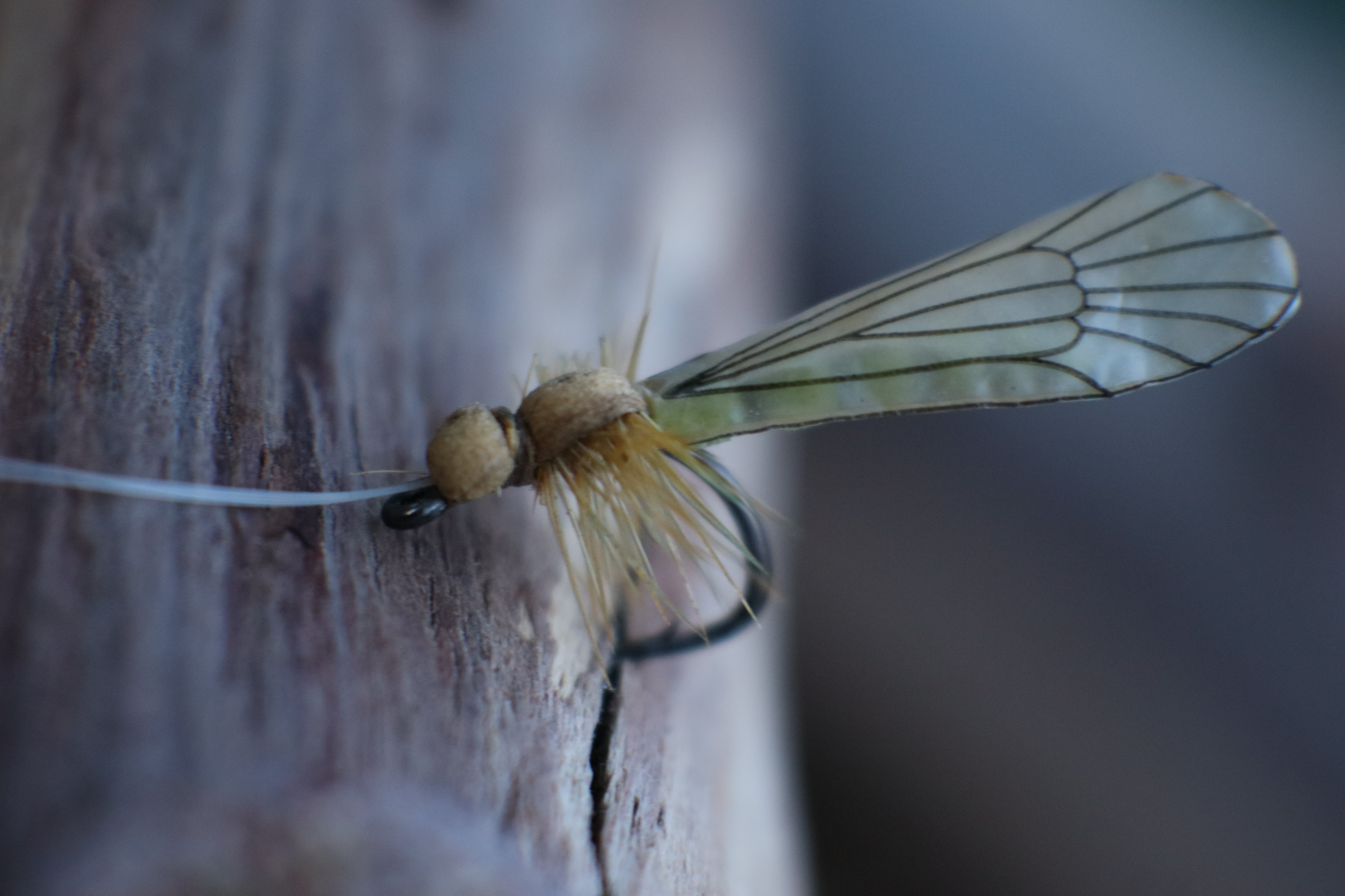 Realistic Adult Caddis Fly - Dry Fly for Trout Fishing