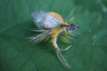 Realistic Mayfly Emerger