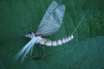 Mayfly Dun- Realistic Mayfly