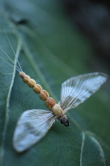 Mayfly Spent Yellow- Realistic Flies Size #18