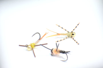 Stonefly Jig -Top Euro Nymphs for trout - Exclusive Flies - Proven Pattern -Size 10