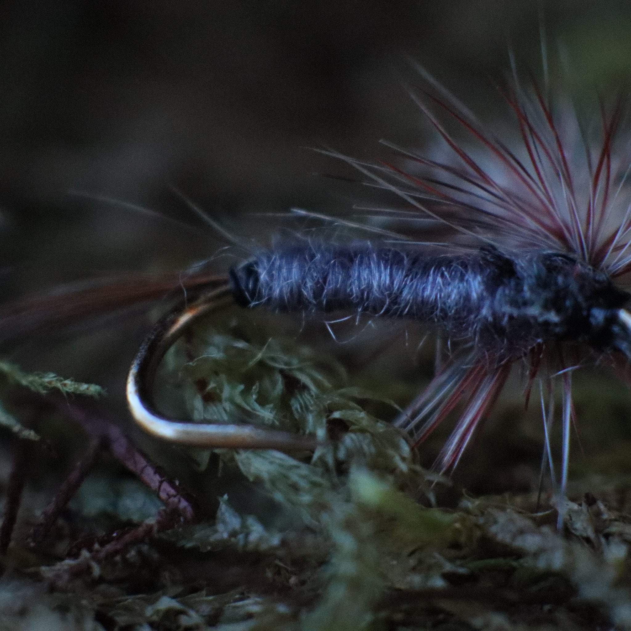 Parachute Adams- Dry Fly