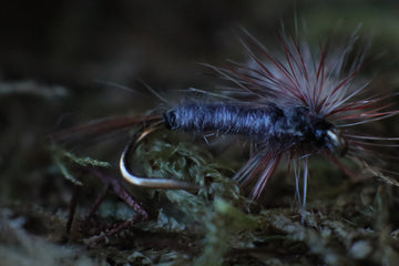 Parachute Adams- Dry Fly