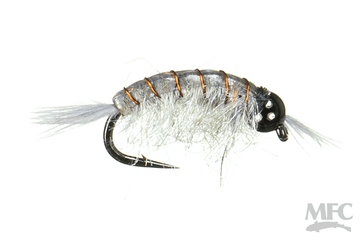 BH Scud - MFC
