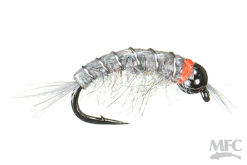 BH Scud - MFC