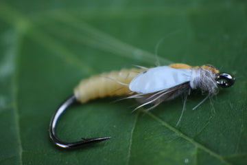 Caddis Pupa Yellow- Realistic Fly - Size 12