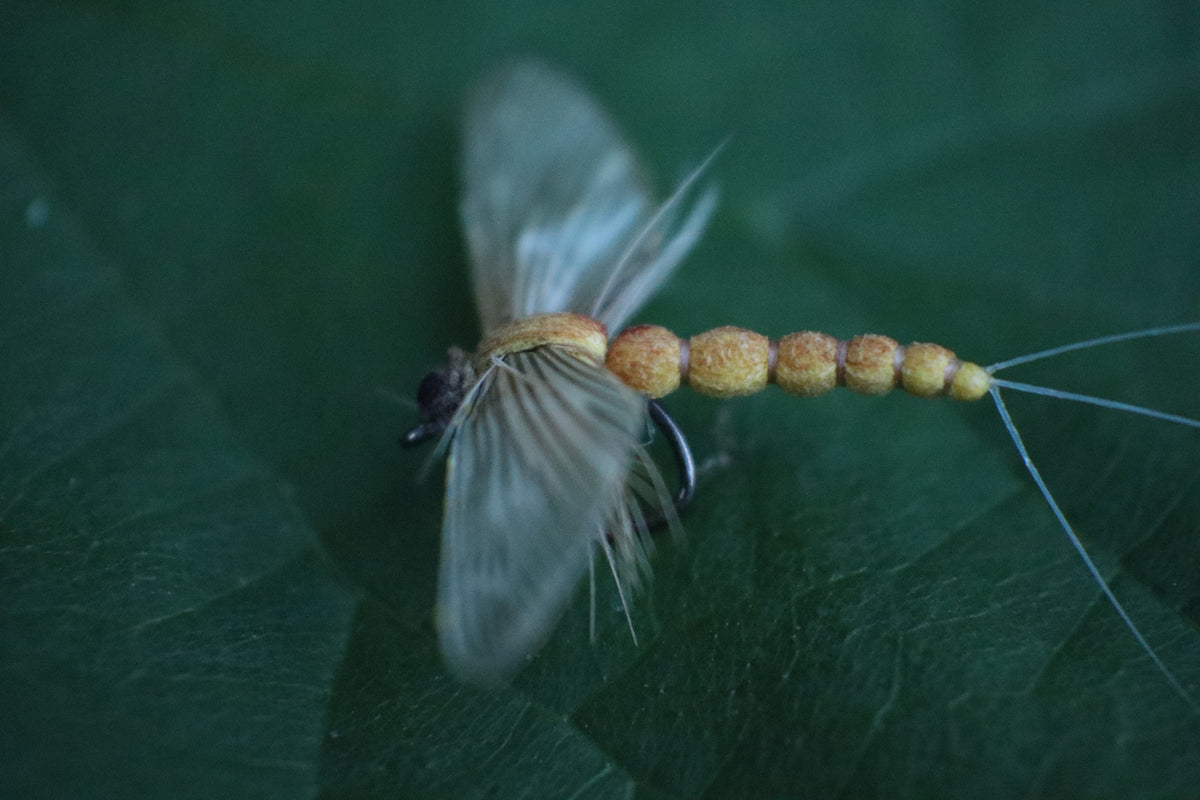 Mayfly Spent Yellow - Realistic Spinner Fall Dry Fly for Trout