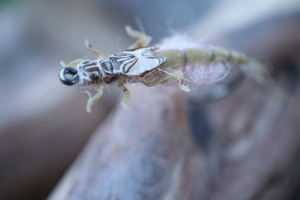 Realistic Mayfly Larva Nymph - Year-Round Trout Fly