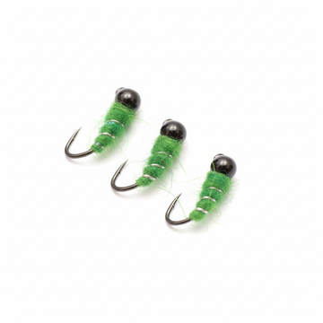 Polished Hot Rib Walts Worm Product Photo