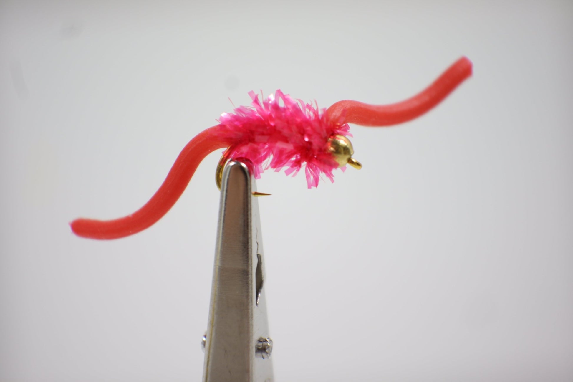 pink /red Squirmy Wormy Fly close up 