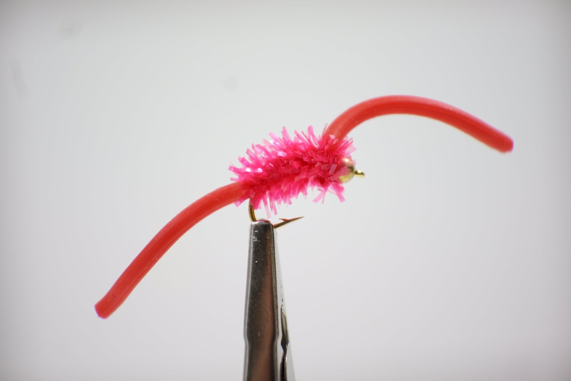 pink /red Squirmy Wormy Fly close up 1