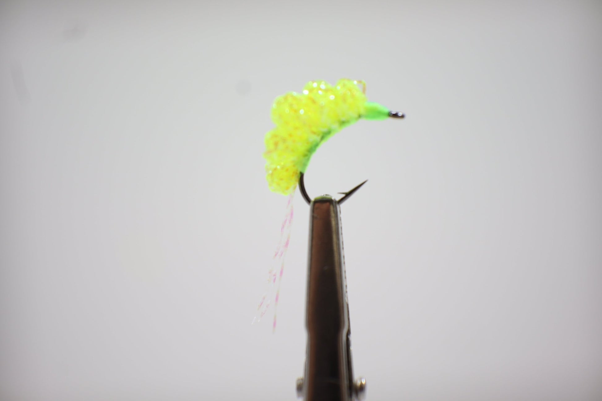 Chartreuse Egg fly 